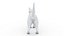 Cat white  black