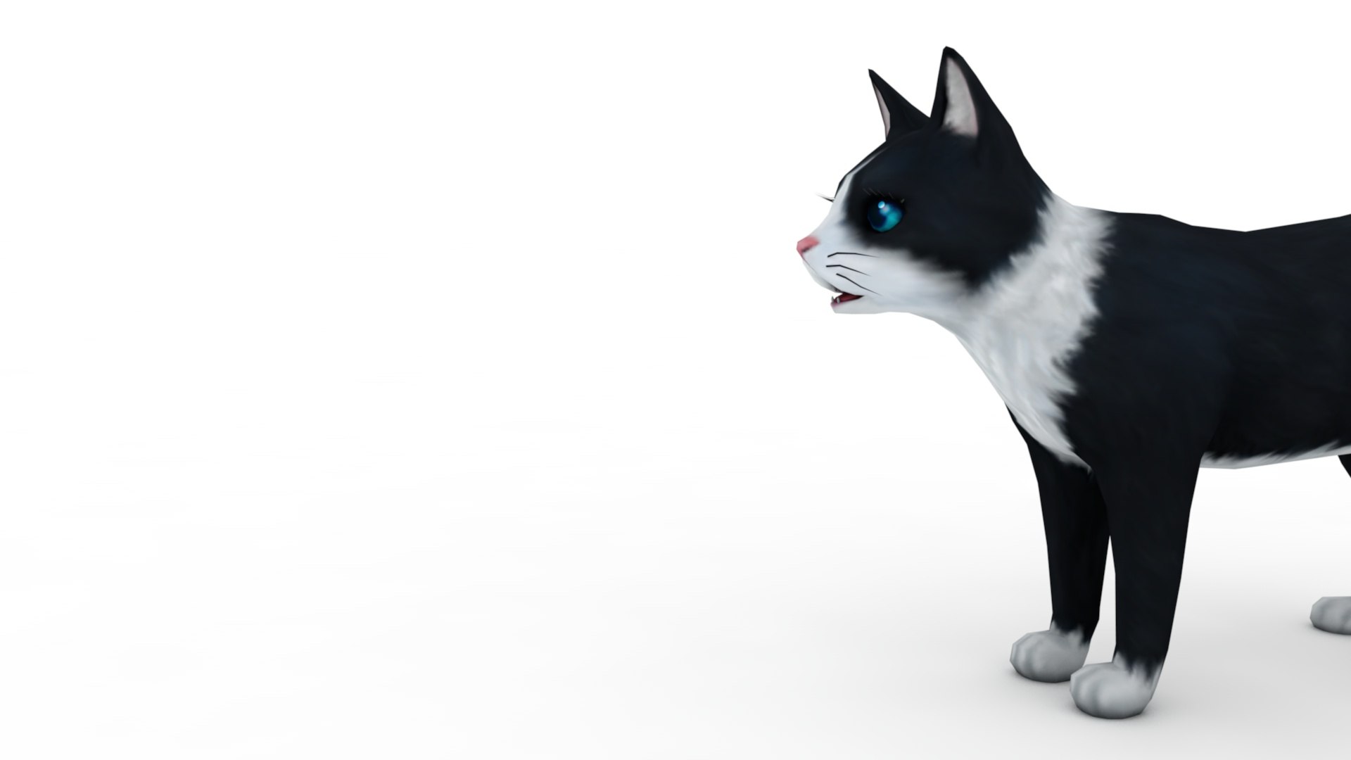 3D Cat white  black model https://p.turbosquid.com/ts-thumb/B8/WiX5DT/ZI/dfs0006/jpg/1643875018/1920x1080/fit_q87/e1d147143e9bbb3f0342da08b090eaeeef2a5297/dfs0006.jpg