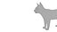 Cat white  black