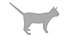 Cat white  black