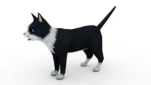 3D Cat white  black model