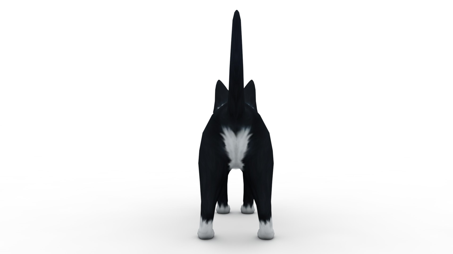 3D Cat white  black model https://p.turbosquid.com/ts-thumb/B8/WiX5DT/uJ/dfs0002/jpg/1643875014/1920x1080/fit_q87/20875bbe5531b4ca8bfe509bfb5e52ecd604380a/dfs0002.jpg