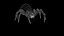 Momie araignée