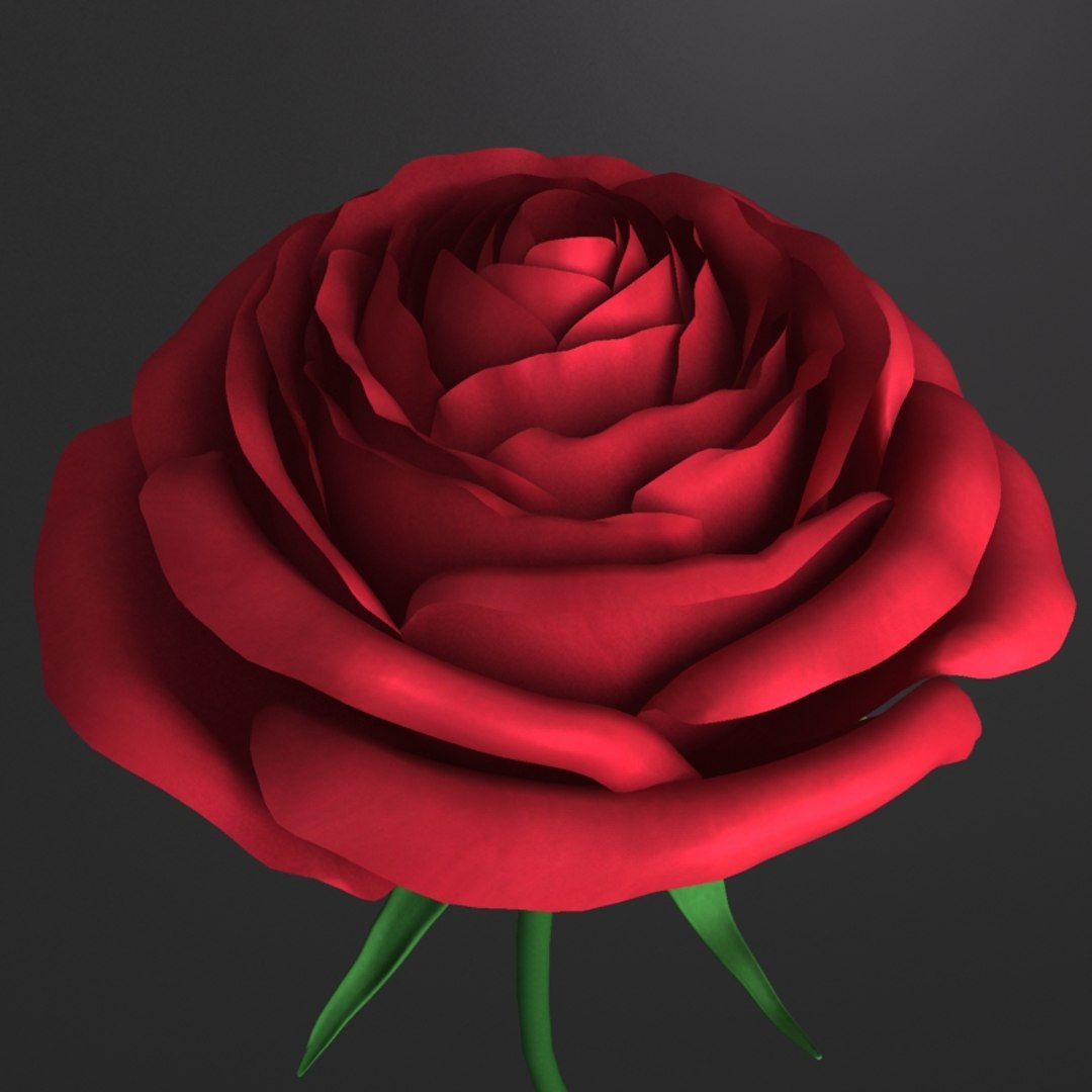 3d model rose