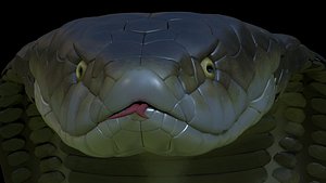 snake 3D model
