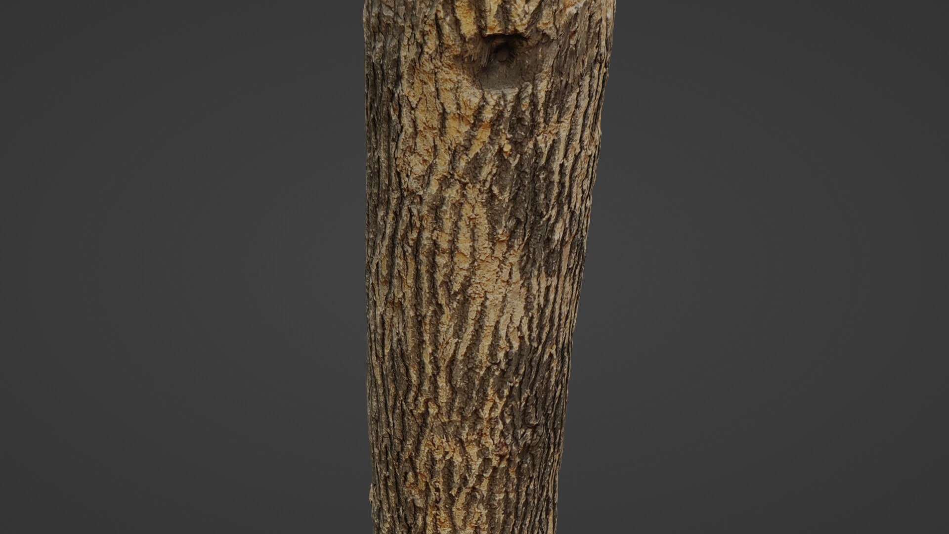 3D Tree Trunk Cutted https://p.turbosquid.com/ts-thumb/B9/fnPZUm/2f/7/jpg/1735216371/1920x1080/fit_q87/97ae05d18a43b62326f3d1ca7cef321dc286f64d/7.jpg
