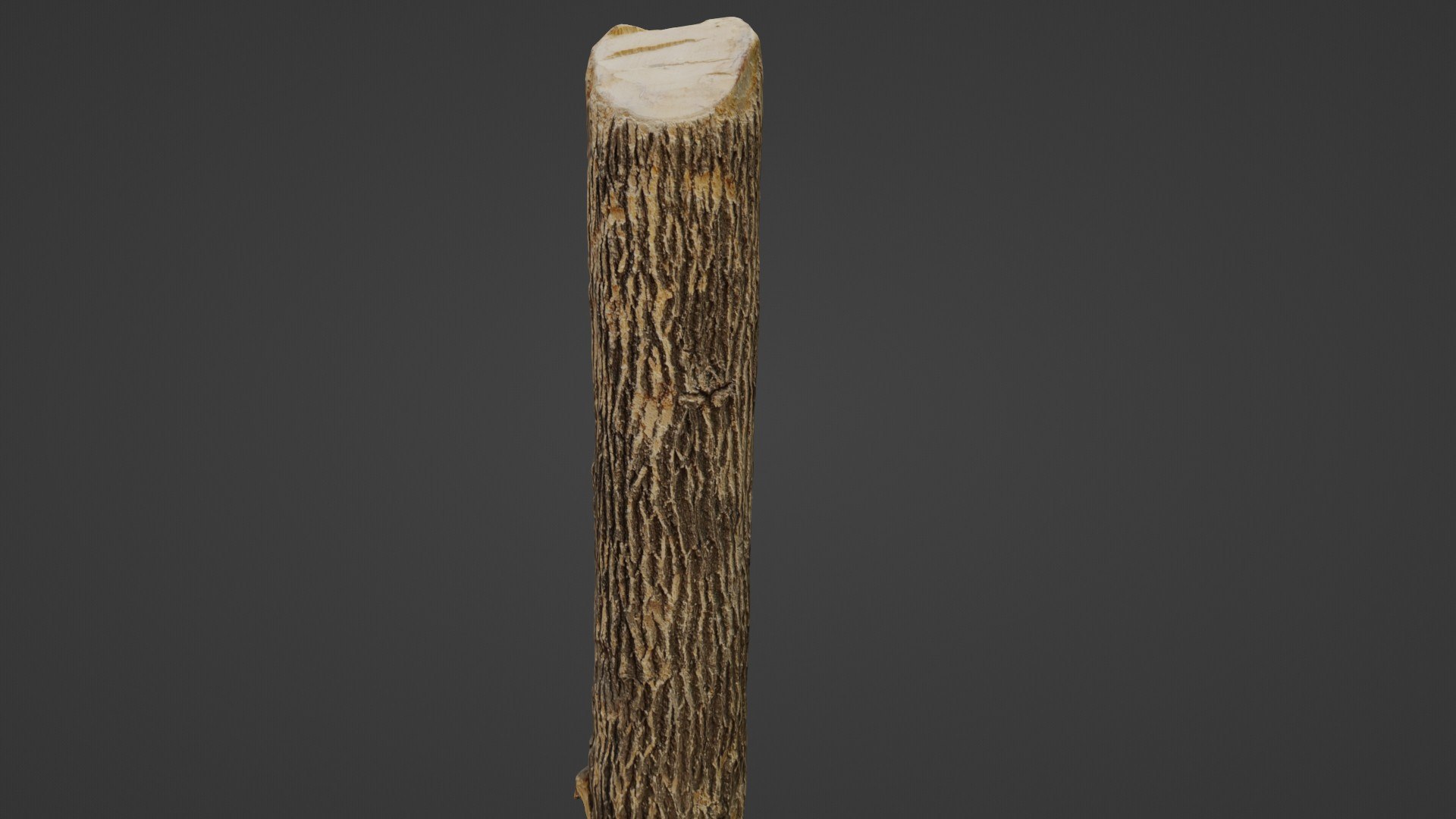 3D Tree Trunk Cutted https://p.turbosquid.com/ts-thumb/B9/fnPZUm/DI/6/jpg/1735216370/1920x1080/fit_q87/0090192f5212a0957d1f5471f587c660de77cb8a/6.jpg