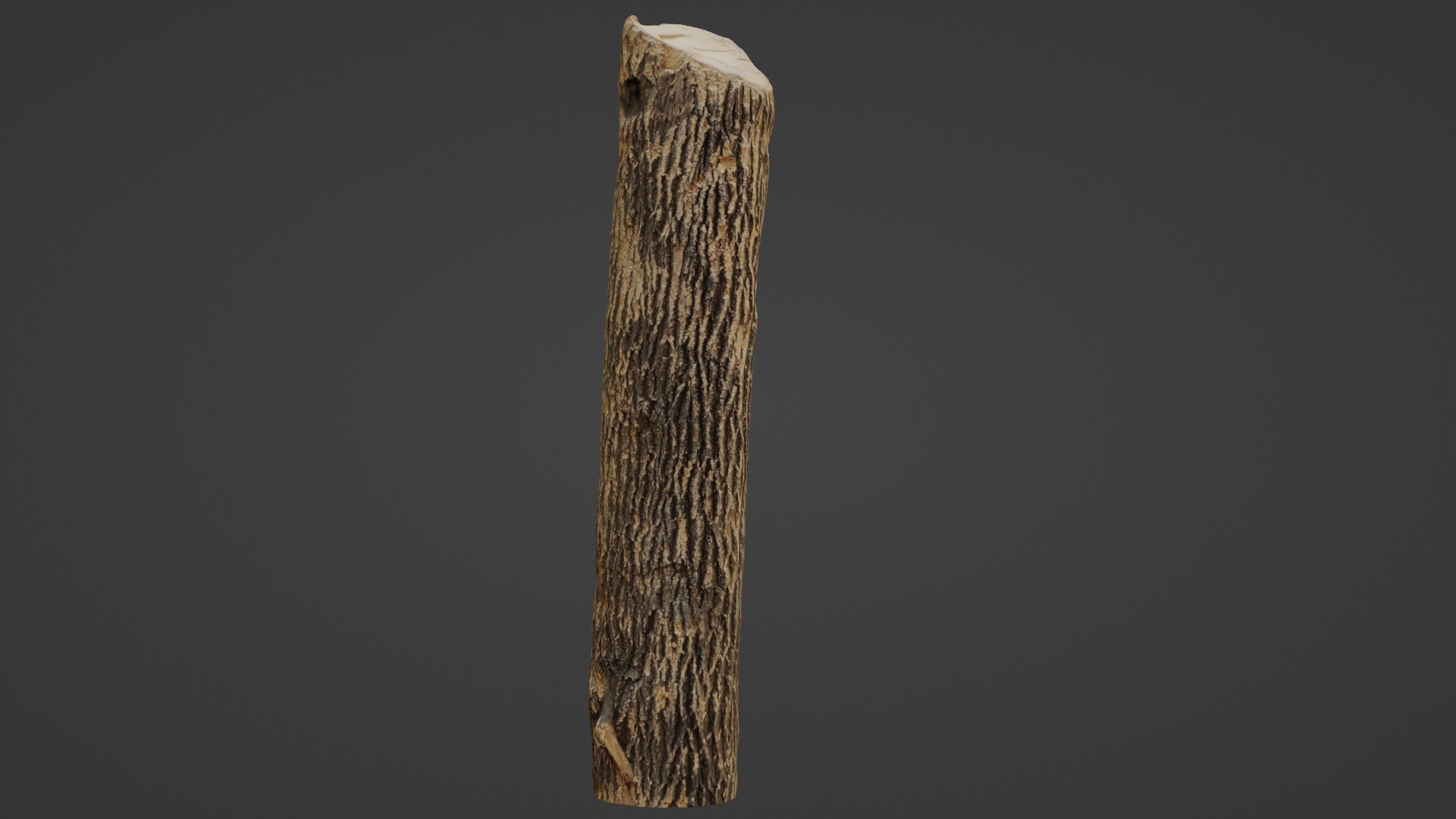 3D Tree Trunk Cutted https://p.turbosquid.com/ts-thumb/B9/fnPZUm/GH/1/jpg/1735216373/1920x1080/fit_q87/86f2c344e630429e426362f684f740ec492fc431/1.jpg