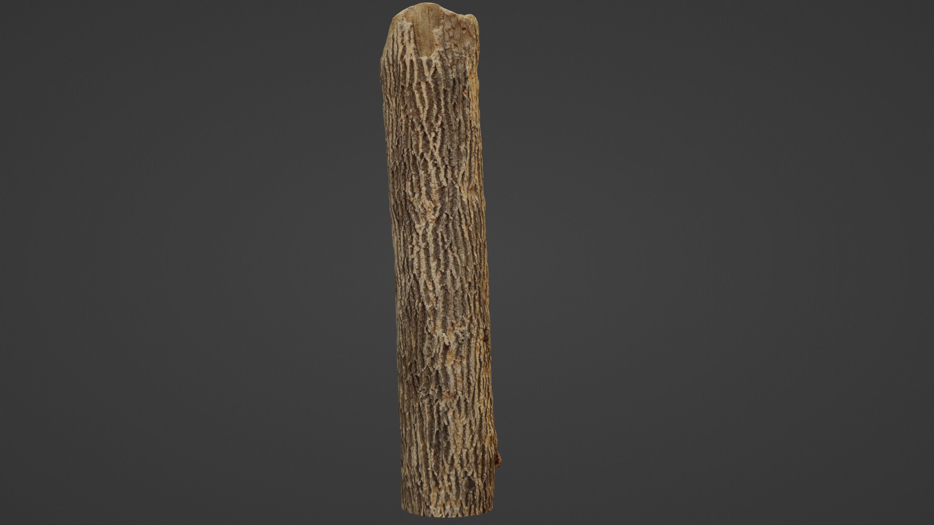 3D Tree Trunk Cutted https://p.turbosquid.com/ts-thumb/B9/fnPZUm/K7/5/jpg/1735216369/1920x1080/fit_q87/7cee2cb140bf4807fd4b9e427521c8276de9f942/5.jpg