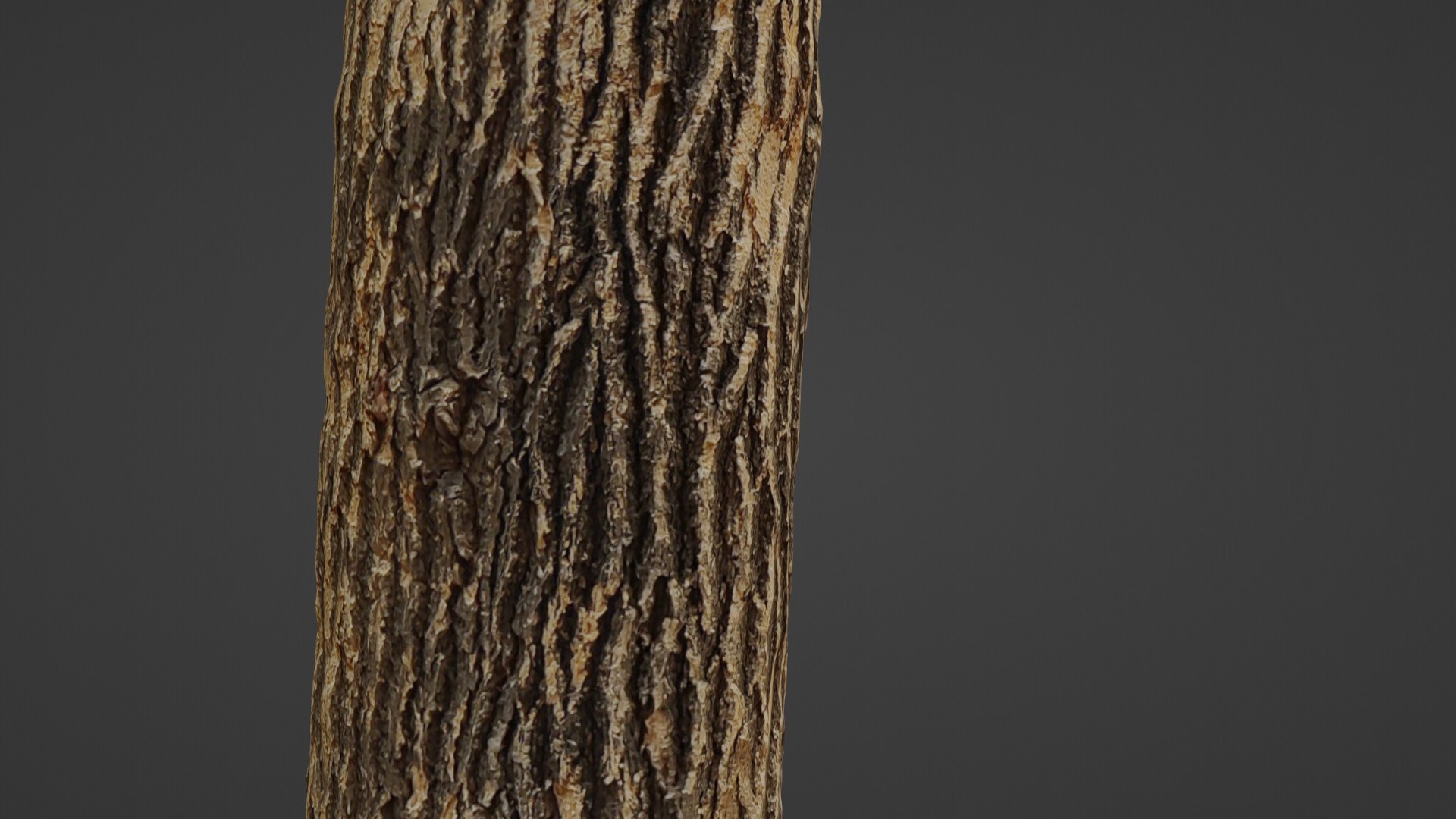 3D Tree Trunk Cutted https://p.turbosquid.com/ts-thumb/B9/fnPZUm/yc/4/jpg/1735216366/1920x1080/fit_q87/a055e6674f541db40d1e9680a3f69e19a2c14ea9/4.jpg