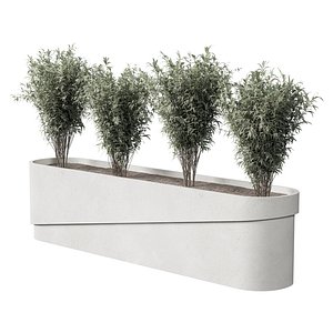 3D Plants Box Collection model