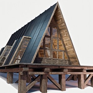 Triangular Wooden Modern House 3D