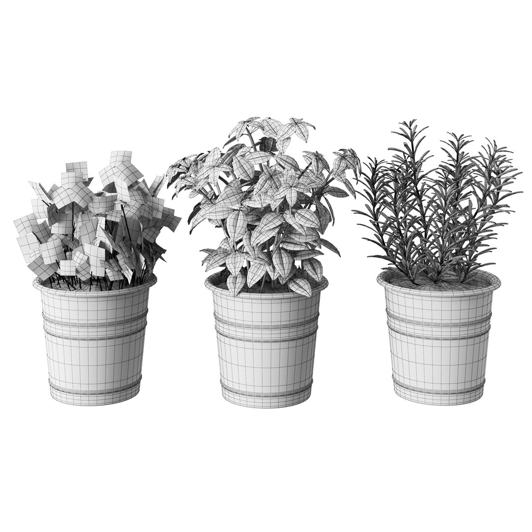 3D set herbs kitchen model https://p.turbosquid.com/ts-thumb/B9/qbK23W/EOpKGWFB/4/jpg/1600100992/1920x1080/fit_q87/75dd9125ecf634d0c15485503b05dc8a82c562ec/4.jpg