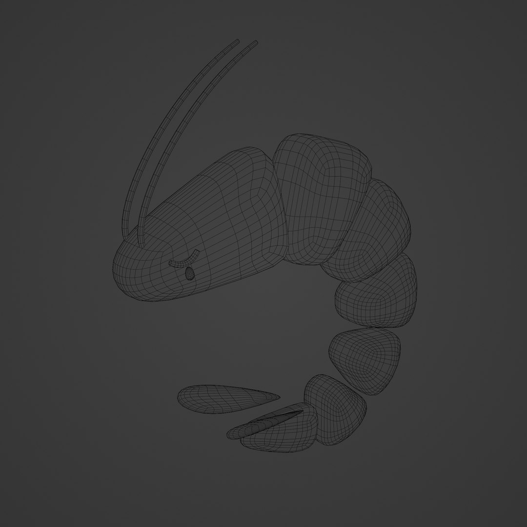 3D Shrimp Model - TurboSquid 2033747