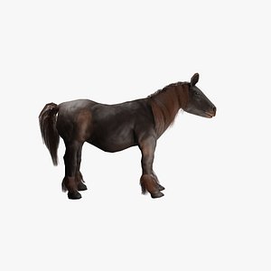 Bosque Mountain Horse Game Model 3D model