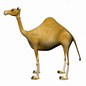 3d max camel cartoon rigged