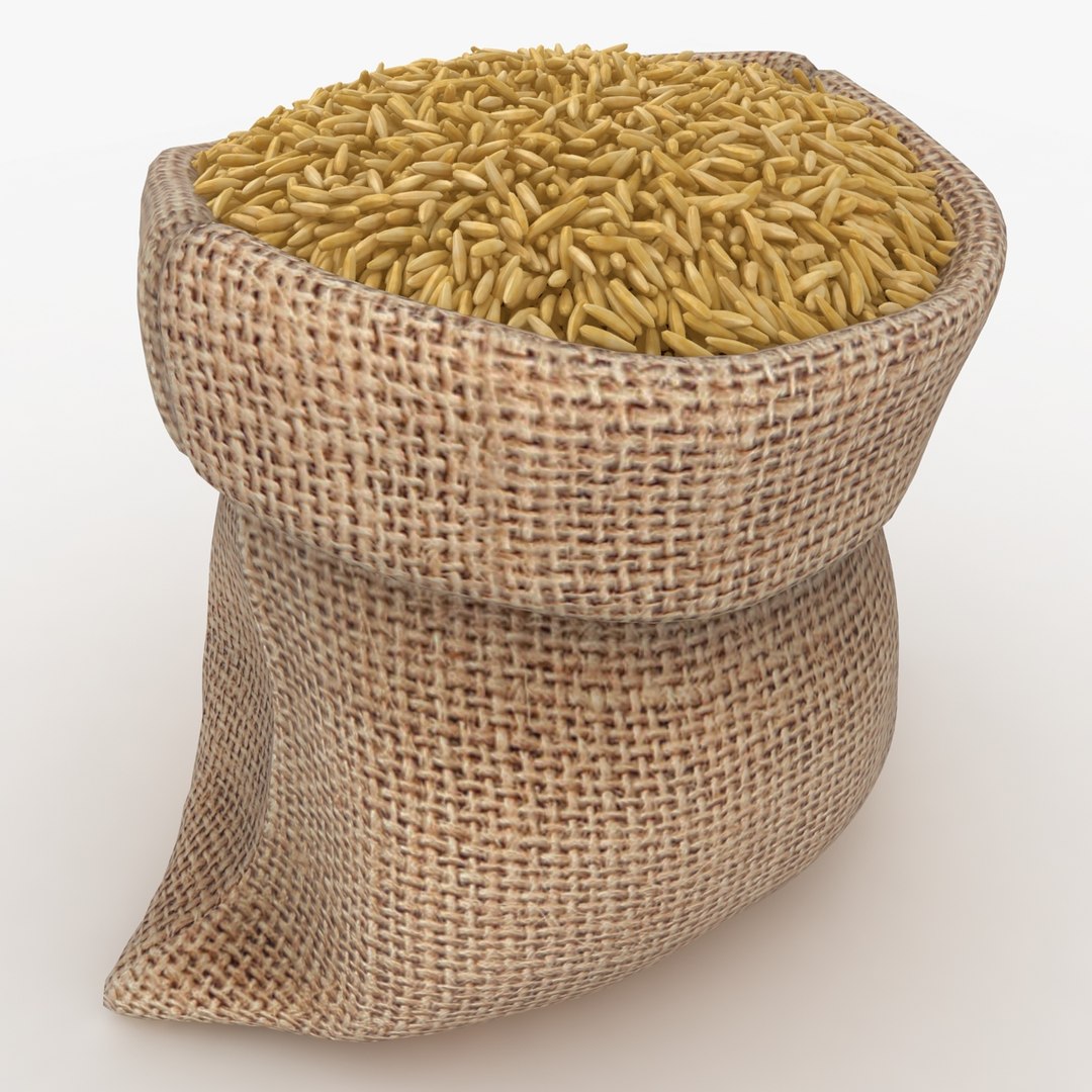 3D model realistic sack brown rice - TurboSquid 1202777