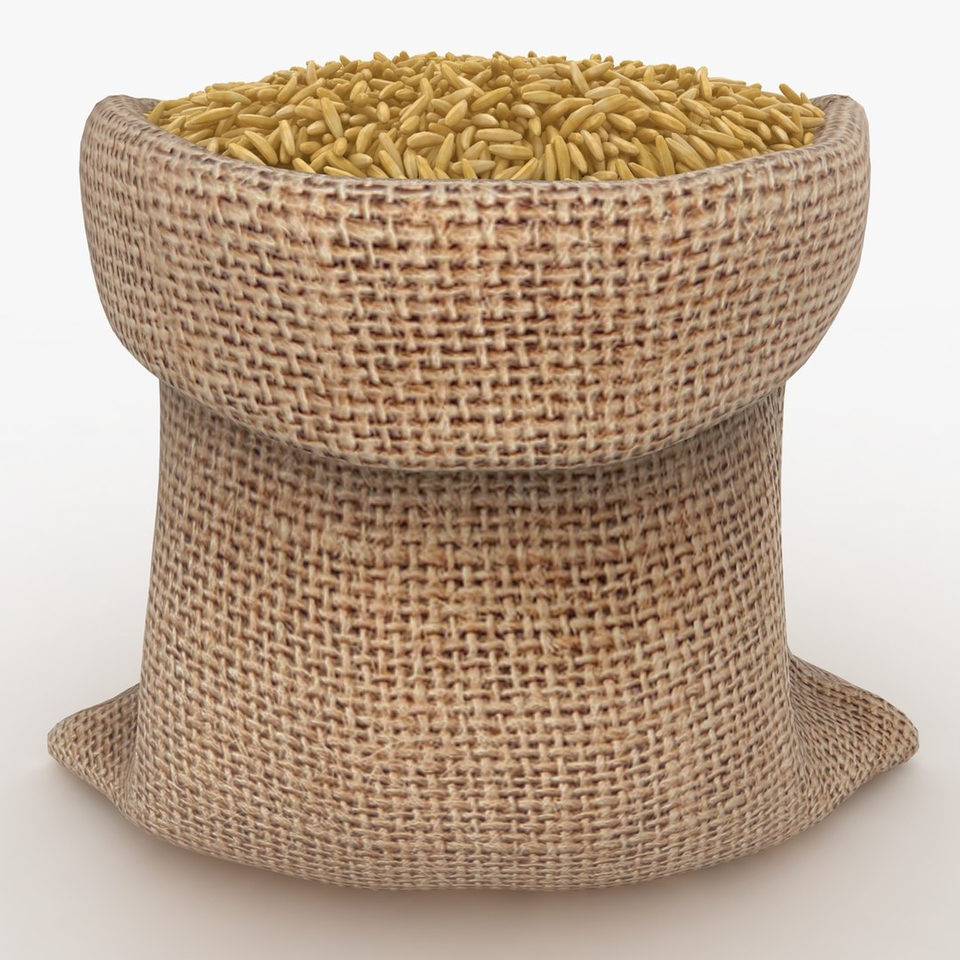 3D model realistic sack brown rice - TurboSquid 1202777