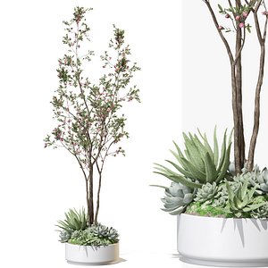 3D model Plant 1336
