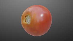 3D model Tomato