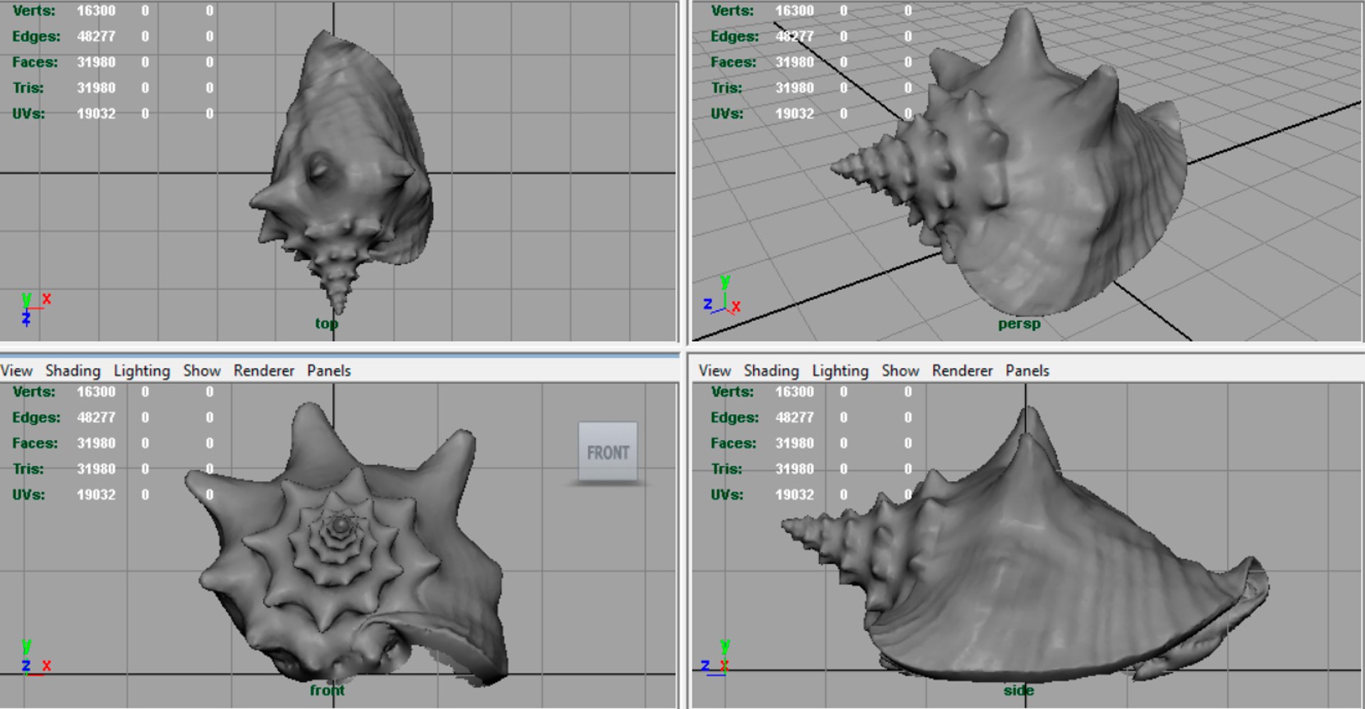 Realistic Sea Shell 3D Model - TurboSquid 1197775