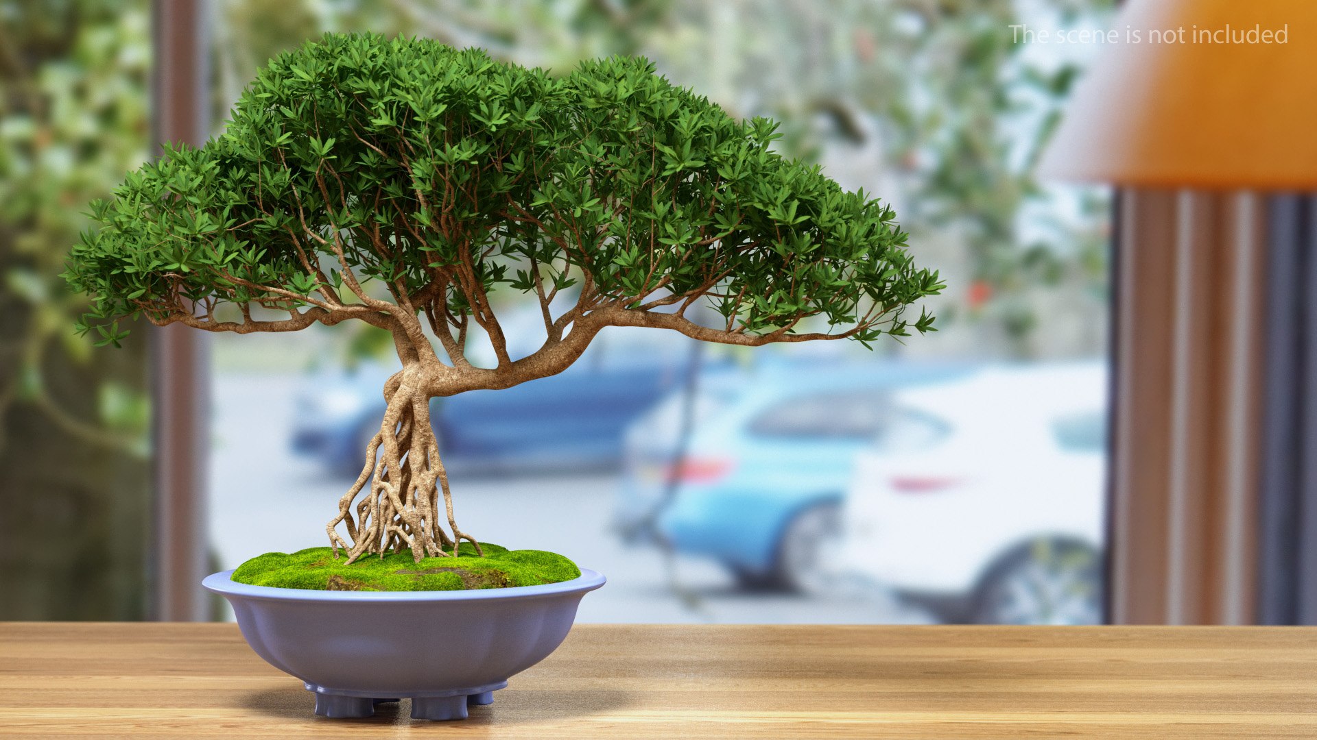 Small Bonsai Tree in Pot Fur model https://p.turbosquid.com/ts-thumb/BA/LT9R5y/1h/smallbonsaitreeinpotfurvray3dmodel002/jpg/1630998529/1920x1080/fit_q87/39f4473b0c97908bf39a711846f937bbffade371/smallbonsaitreeinpotfurvray3dmodel002.jpg