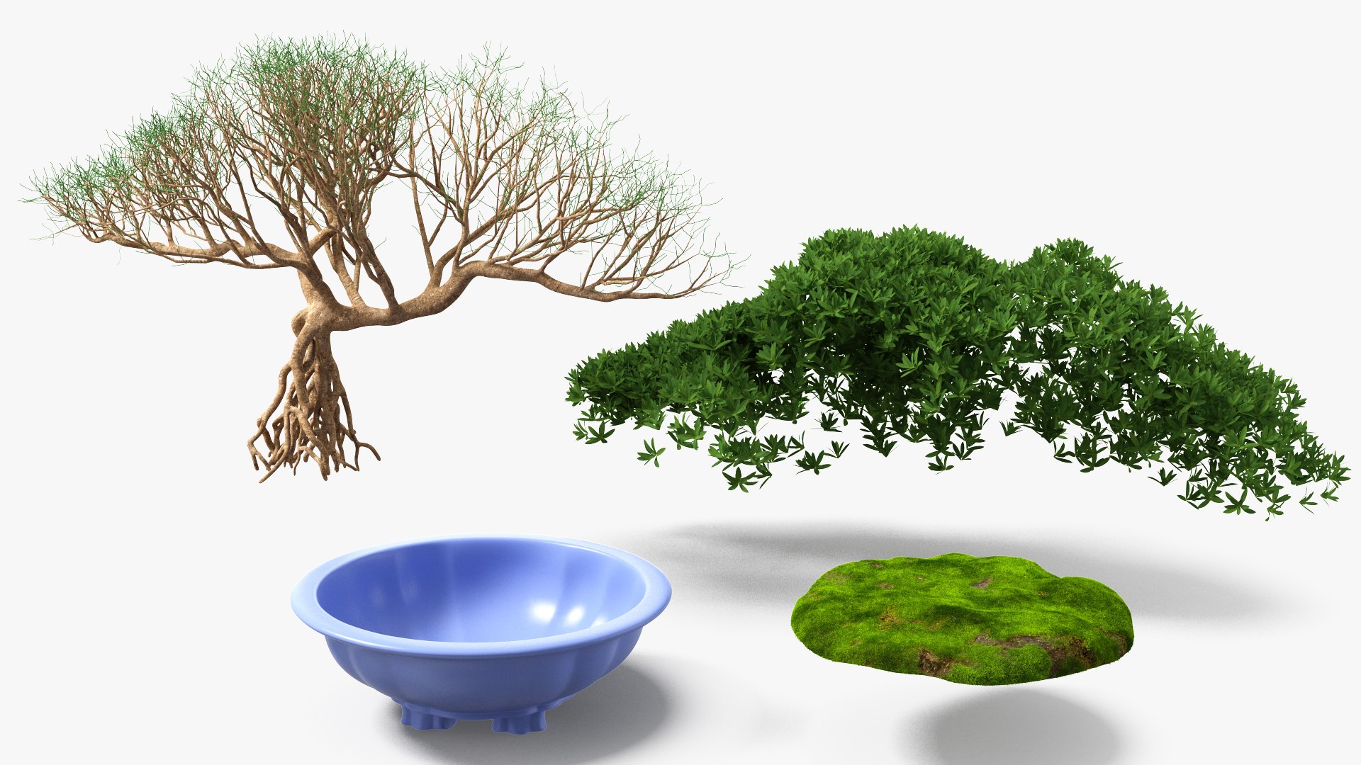 Small Bonsai Tree in Pot Fur model https://p.turbosquid.com/ts-thumb/BA/LT9R5y/Bc/smallbonsaitreeinpotfurvray3dmodel013/jpg/1630998562/1920x1080/fit_q87/8399b95da9042c2a959cabcfeadef7450cd384c7/smallbonsaitreeinpotfurvray3dmodel013.jpg