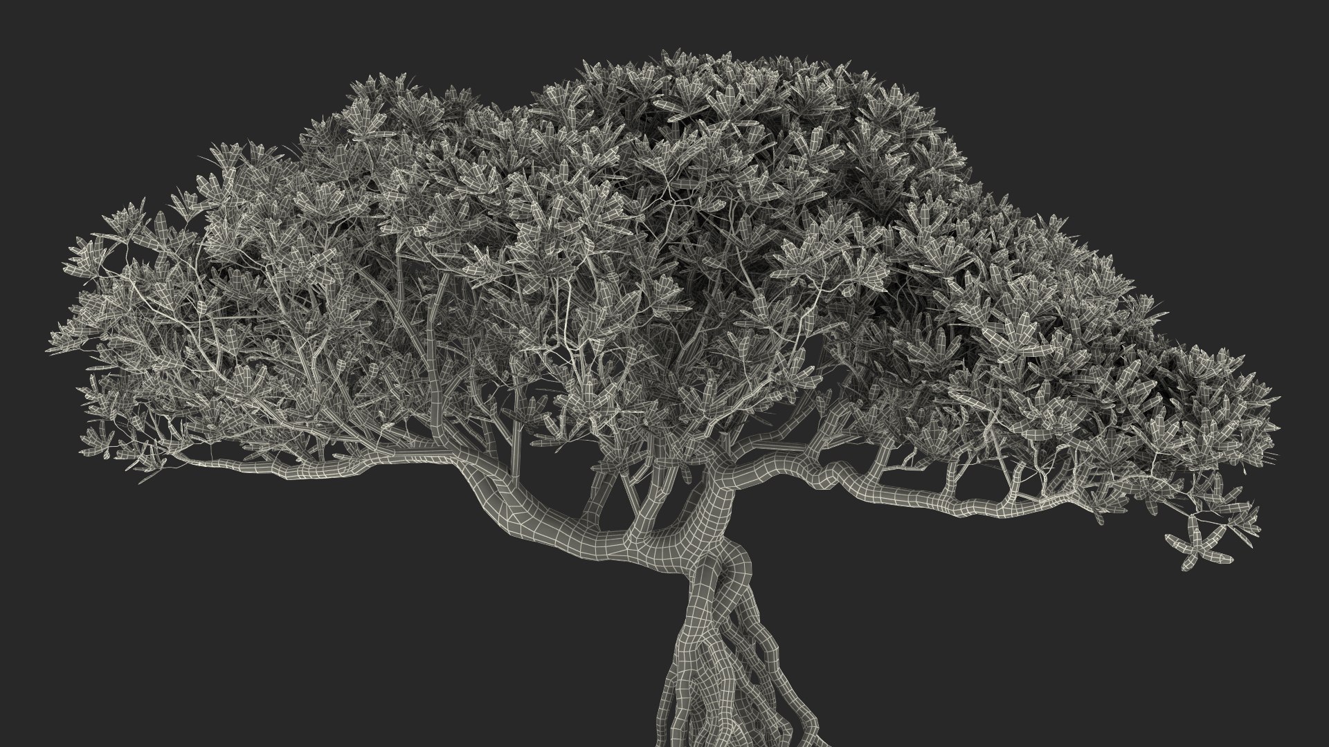 Small Bonsai Tree in Pot Fur model https://p.turbosquid.com/ts-thumb/BA/LT9R5y/Eb/smallbonsaitreeinpotfurvray3dmodel022/jpg/1630998591/1920x1080/fit_q87/fa40ef5448adef225a76869d19ccc5cedd8f8363/smallbonsaitreeinpotfurvray3dmodel022.jpg