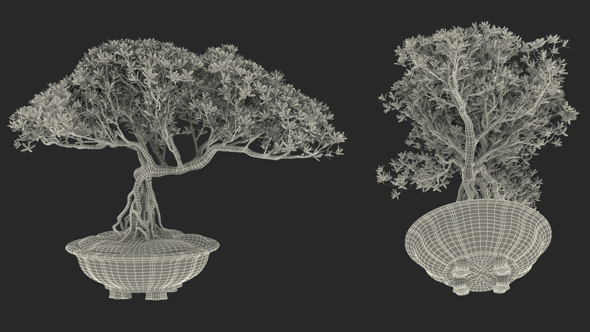 Small Bonsai Tree in Pot Fur model https://p.turbosquid.com/ts-thumb/BA/LT9R5y/MJ/smallbonsaitreeinpotfurvray3dmodel019/jpg/1630998581/1920x1080/fit_q87/d9ac2b322fa50280016053732a9e080686e45cbd/smallbonsaitreeinpotfurvray3dmodel019.jpg