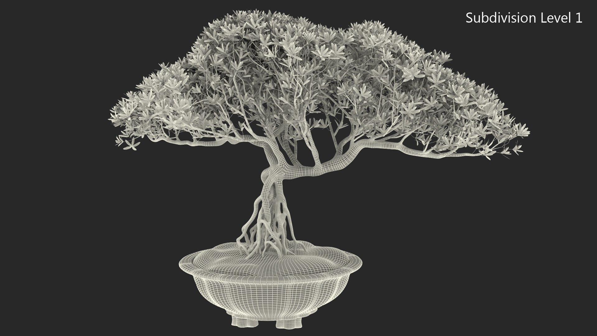 Small Bonsai Tree in Pot Fur model https://p.turbosquid.com/ts-thumb/BA/LT9R5y/QI/smallbonsaitreeinpotfurvray3dmodel015/jpg/1630998568/1920x1080/fit_q87/f71adf864b920136dc29fdf9f71928854e4edd69/smallbonsaitreeinpotfurvray3dmodel015.jpg
