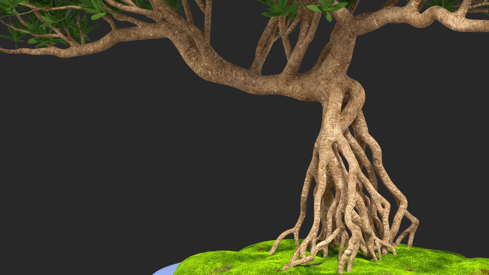 Small Bonsai Tree in Pot Fur model https://p.turbosquid.com/ts-thumb/BA/LT9R5y/WF/smallbonsaitreeinpotfurvray3dmodel007/jpg/1630998543/1920x1080/fit_q87/840eb3c4c3bcfe40b64da0ba8689e9ff572a3340/smallbonsaitreeinpotfurvray3dmodel007.jpg