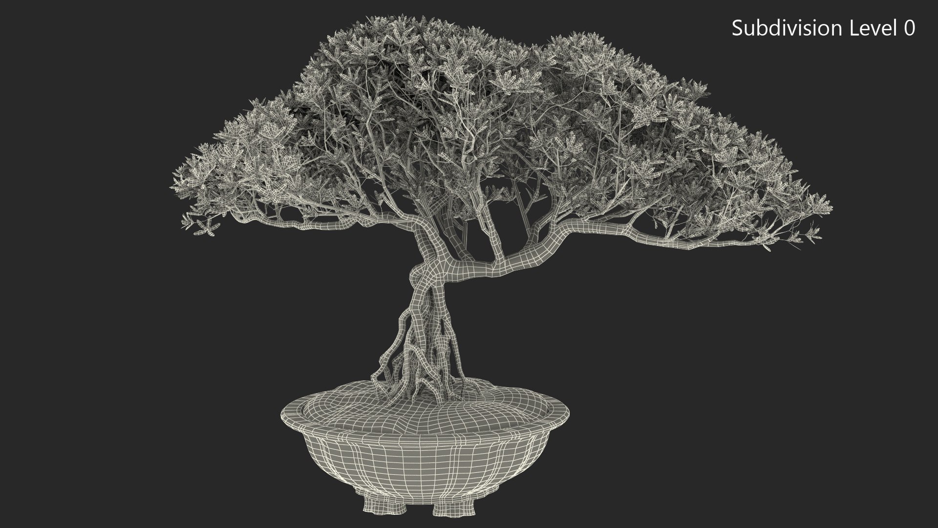 Small Bonsai Tree in Pot Fur model https://p.turbosquid.com/ts-thumb/BA/LT9R5y/Yq/smallbonsaitreeinpotfurvray3dmodel014/jpg/1630998565/1920x1080/fit_q87/3a64af1a24a48acbdd3dee6cd26632fd0ae26a38/smallbonsaitreeinpotfurvray3dmodel014.jpg