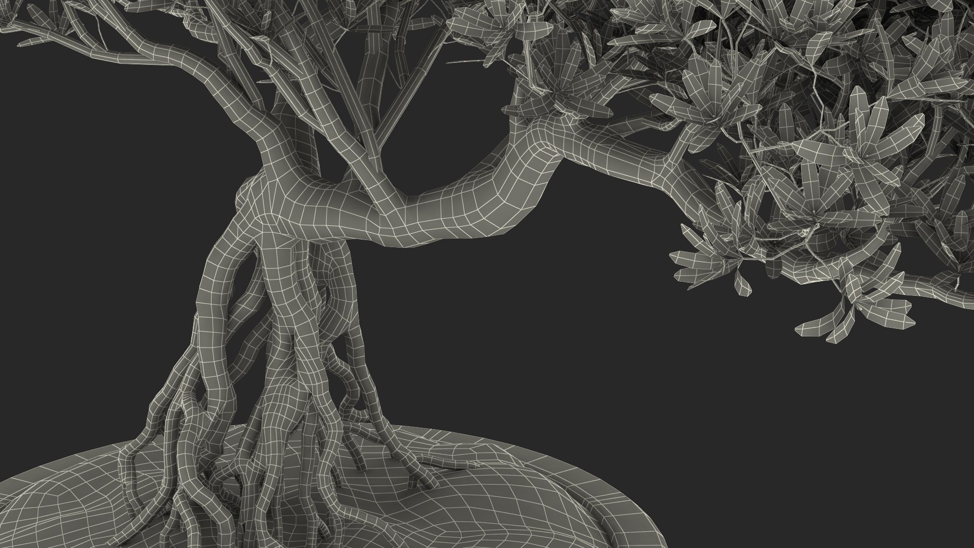 Small Bonsai Tree in Pot Fur model https://p.turbosquid.com/ts-thumb/BA/LT9R5y/bE/smallbonsaitreeinpotfurvray3dmodel023/jpg/1630998594/1920x1080/fit_q87/c1c0010561c7232ec75c2fa254bb3073289c5584/smallbonsaitreeinpotfurvray3dmodel023.jpg