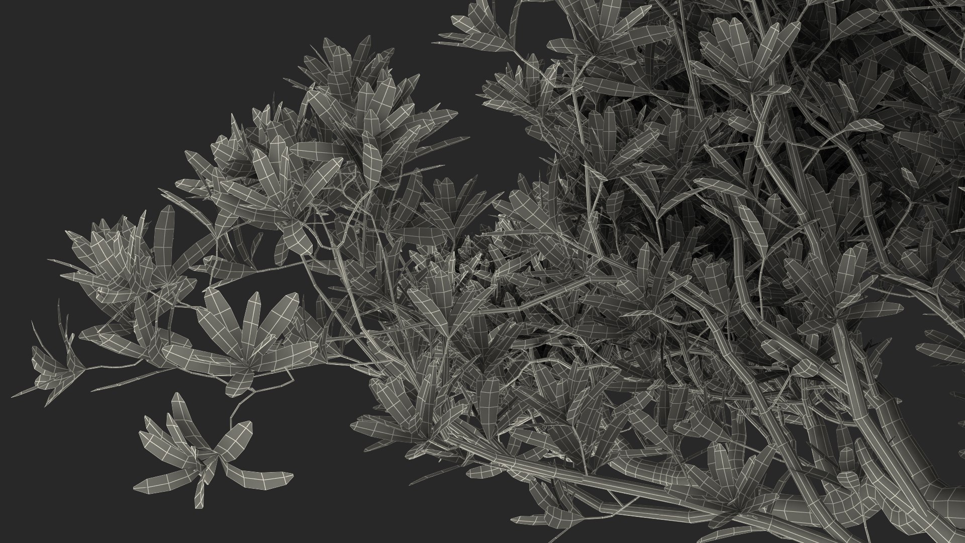 Small Bonsai Tree in Pot Fur model https://p.turbosquid.com/ts-thumb/BA/LT9R5y/hA/smallbonsaitreeinpotfurvray3dmodel024/jpg/1630998597/1920x1080/fit_q87/89a2217d17009d287e65855d32d6ff045cc983c7/smallbonsaitreeinpotfurvray3dmodel024.jpg
