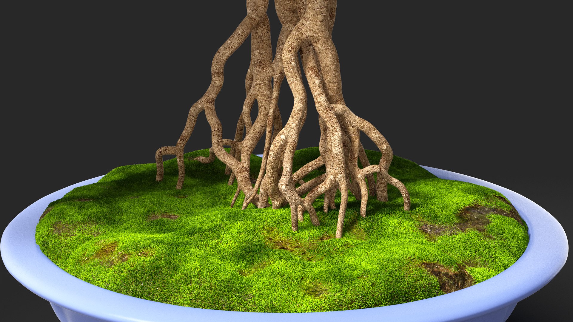 Small Bonsai Tree in Pot Fur model https://p.turbosquid.com/ts-thumb/BA/LT9R5y/kP/smallbonsaitreeinpotfurvray3dmodel005/jpg/1630998538/1920x1080/fit_q87/d2d829a76ae576aef5495f06928ccfd26b2165e7/smallbonsaitreeinpotfurvray3dmodel005.jpg