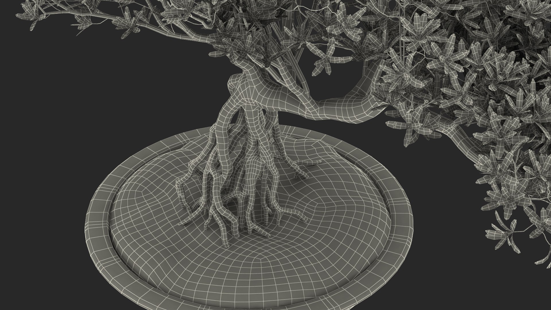 Small Bonsai Tree in Pot Fur model https://p.turbosquid.com/ts-thumb/BA/LT9R5y/rN/smallbonsaitreeinpotfurvray3dmodel021/jpg/1630998587/1920x1080/fit_q87/701e4c4756a87427e59582c0e7270b2f60f0bb72/smallbonsaitreeinpotfurvray3dmodel021.jpg
