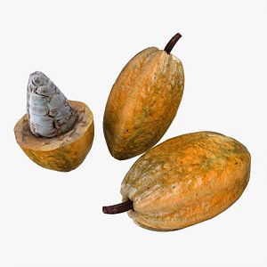 3D model fruits