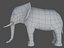 Elefante