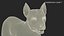 West Highland White Terrier Standing Pose Fur for Maya