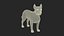 West Highland White Terrier Standing Pose Fur for Maya