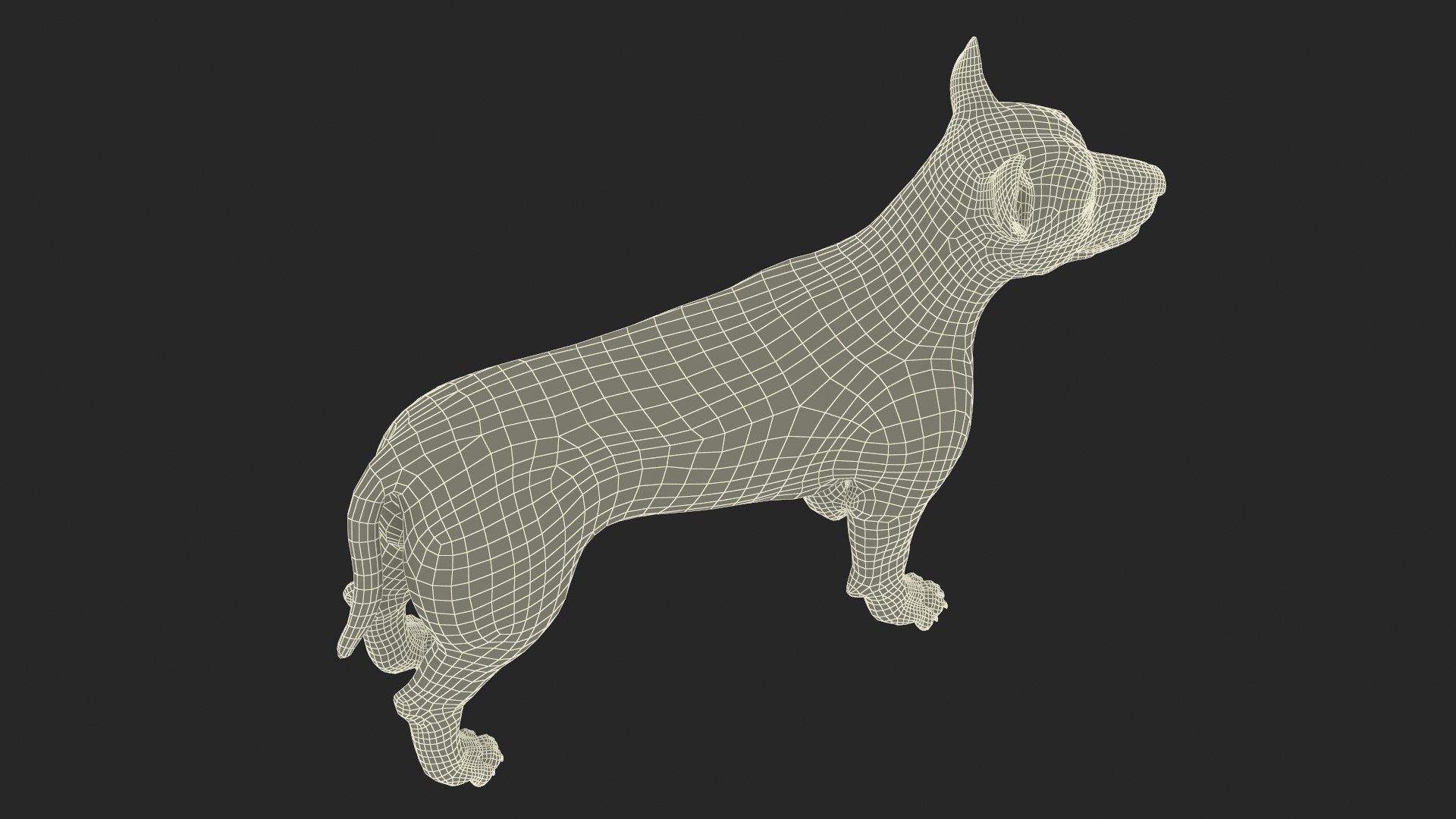 3D model West Highland White Terrier Standing Pose Fur for Maya https://p.turbosquid.com/ts-thumb/BA/cqbT30/Ov/west_highland_white_terrier_standing_pose_fur_016/jpg/1764236118/1920x1080/fit_q87/489d825d0345d0f3b537f4924cab2014490392ae/west_highland_white_terrier_standing_pose_fur_016.jpg
