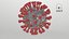 Sección transversal del nuevo coronavirus