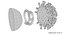 Sección transversal del nuevo coronavirus