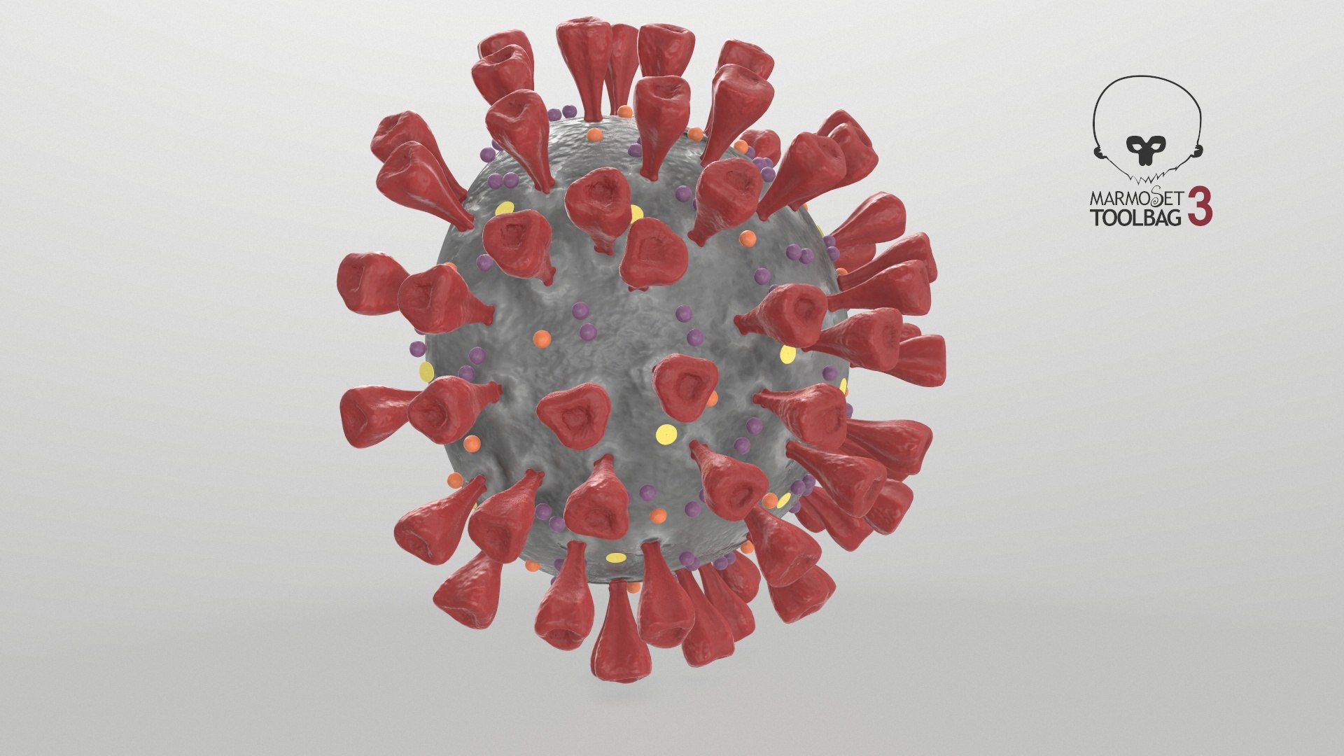 3D section novel coronavirus virus model https://p.turbosquid.com/ts-thumb/BA/sZAFm2/Y7WucBnJ/screenshot002/jpg/1586180677/1920x1080/fit_q87/63412d808ece163a85631ff97b85918340557a5c/screenshot002.jpg