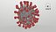 Sección transversal del nuevo coronavirus