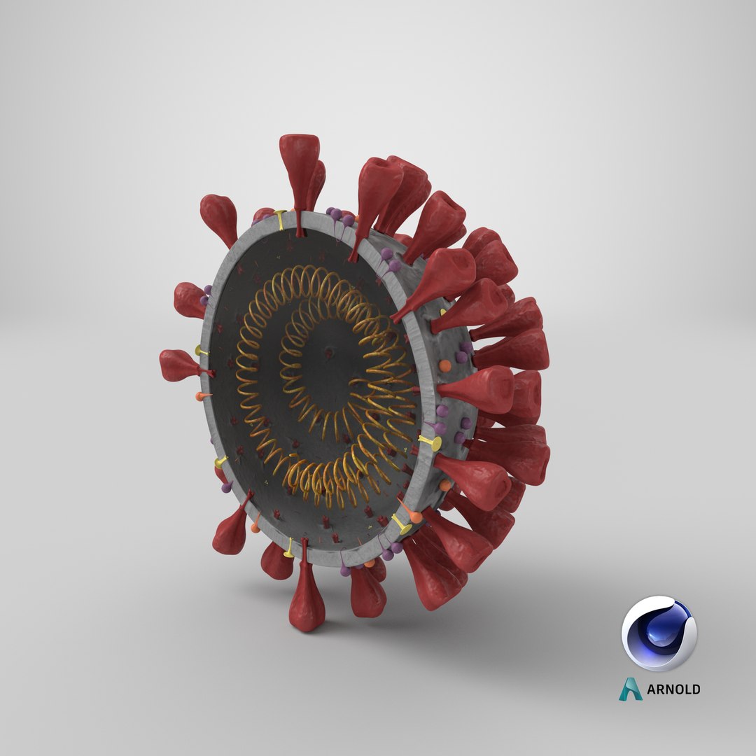 3D section novel coronavirus virus model https://p.turbosquid.com/ts-thumb/BA/sZAFm2/ZyRJstDI/stemcell_cinema_4d_arnold_render/png/1586436841/1920x1080/fit_q87/8195746a7f28f64ecc446ea668022ef82fdf8867/stemcell_cinema_4d_arnold_render.jpg