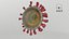 Sección transversal del nuevo coronavirus