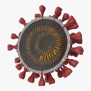Novel Coronavirus Cross Section