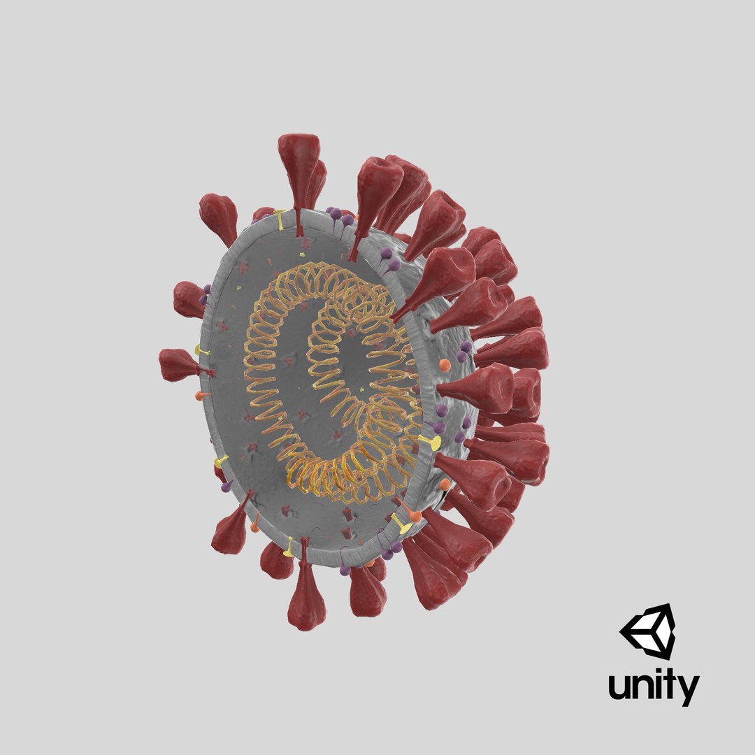 3D section novel coronavirus virus model https://p.turbosquid.com/ts-thumb/BA/sZAFm2/kW9dtk2S/stemcell_unity_render/png/1586436850/1920x1080/fit_q87/481661e7a9c1f6451732356a1c884f93a2e1c44c/stemcell_unity_render.jpg