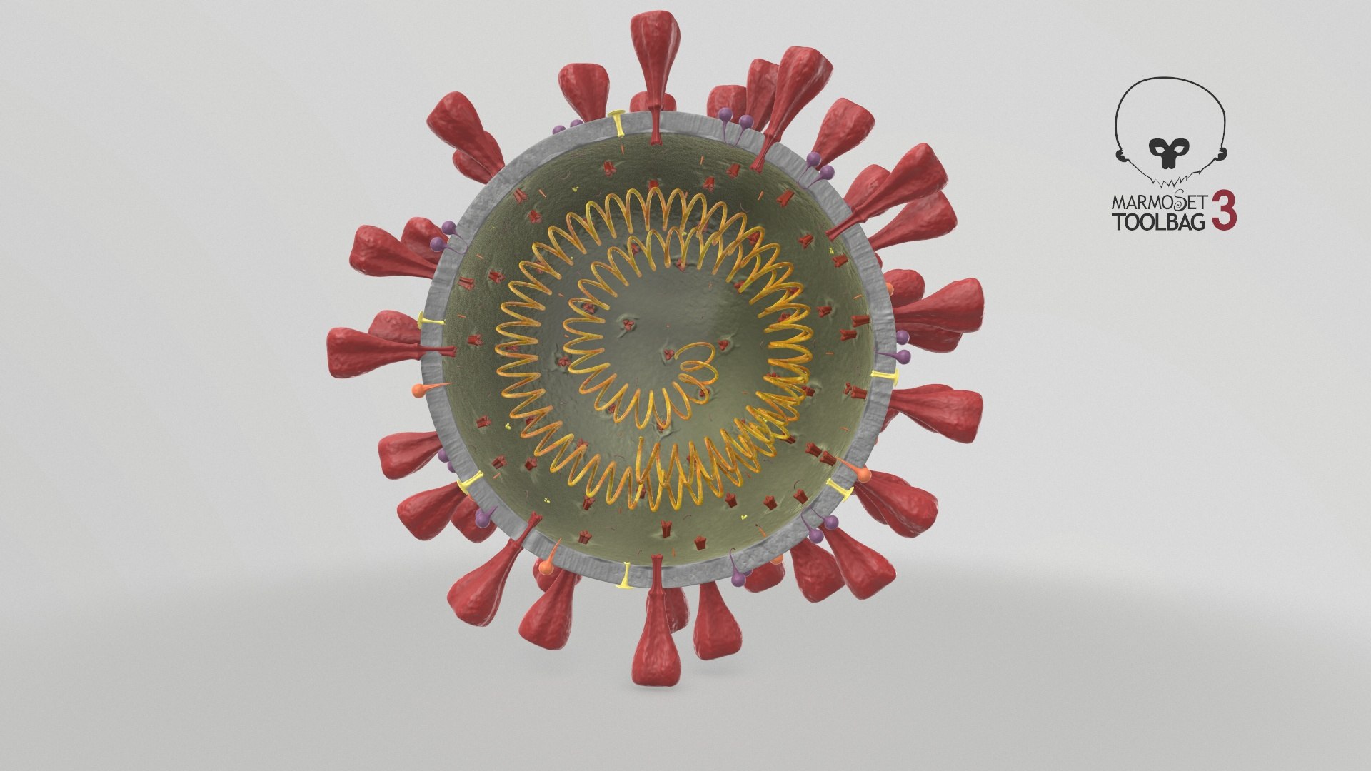 3D section novel coronavirus virus model https://p.turbosquid.com/ts-thumb/BA/sZAFm2/s2r8k4ze/screenshot001/jpg/1586180676/1920x1080/fit_q87/e0173f0b096f30b021c4530f47576e86b409d164/screenshot001.jpg